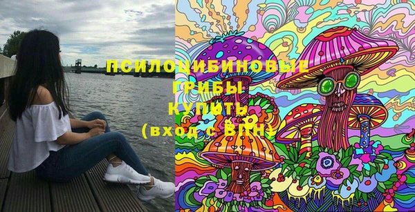 крисы Дмитров
