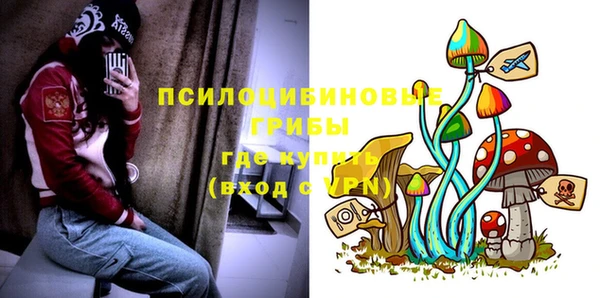 марки lsd Михайлов