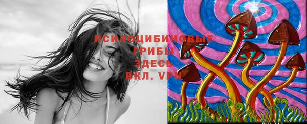 мдма Михайловск